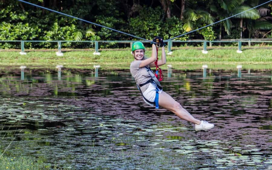 Sunshine Coast: Treetop Challenge Adventure Park - The black circuits are the real test
