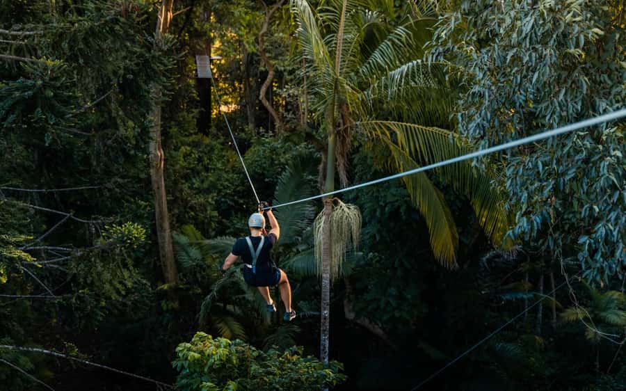 Sunshine Coast: Treetop Challenge Adventure Park - How it compares with a normal zipline visit