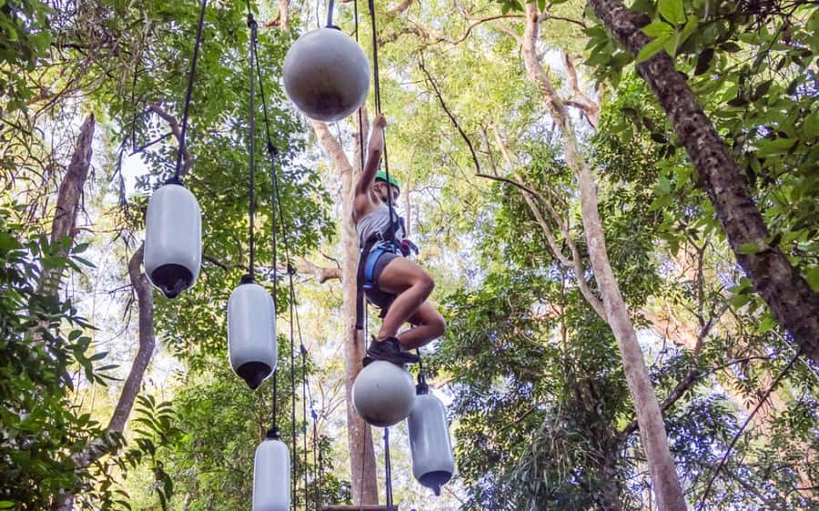 Sunshine Coast: Treetop Challenge Adventure Park - The first two courses help you find your balance
