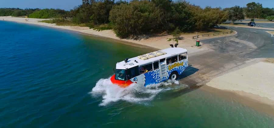 Surfers Paradise: Guided Gold Coast Amphibious Bus Tour - Why this amphibious tour works so well in Surfers Paradise