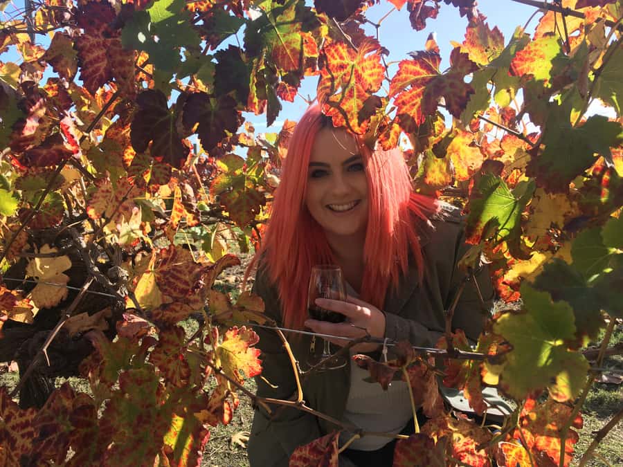 Swan Valley Full-Day Winery Experience with Lunch from Perth - The boutique brewery adds a change of pace