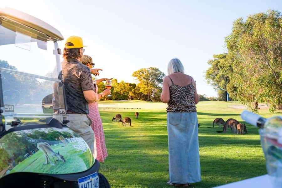 Swan Valley: Golf Cart Kangaroo Safari w/ Mini Golf & Drink - Key points at a glance