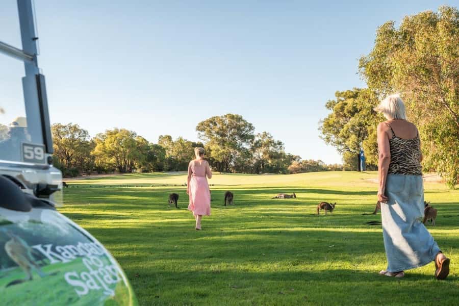 Swan Valley: Golf Cart Kangaroo Safari w/ Mini Golf & Drink - Searching The Vines fairways for kangaroos