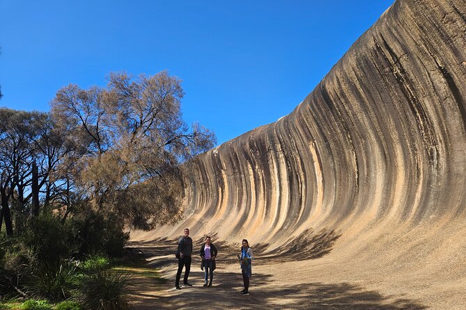 Swan Valley Wine Cruise - Comfort, weather, and the coach substitution warning