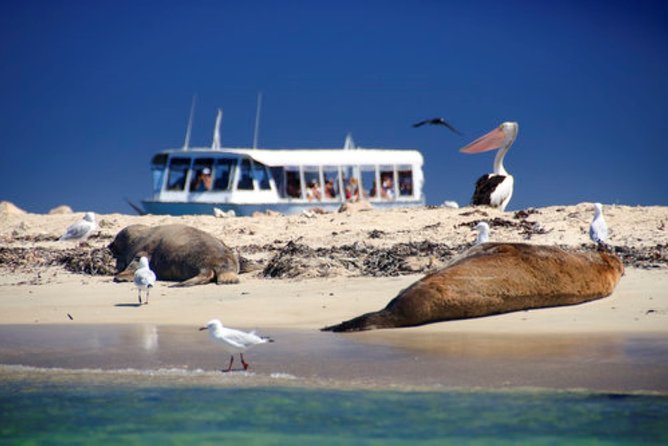 Swan Valley Wine Cruise - What the high rating tells you, and what it does not