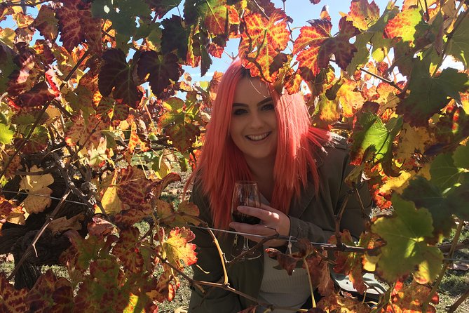 Swan Valley Winery Experience - Full Day Coach Tour - From central Perth to Swan Valley vineyards