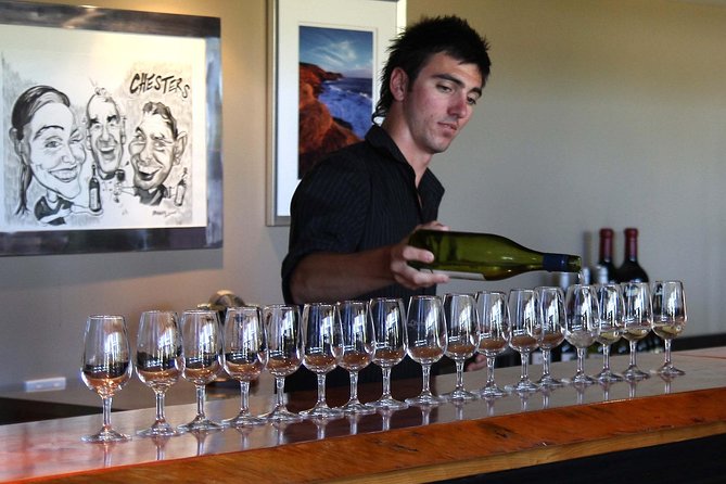 Swan Valley Winery Experience - Full Day Coach Tour - Price, timing, and the practical trade-offs