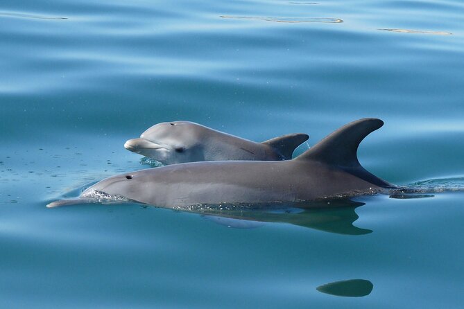 Swim With The Dolphins Experience in Bunbury Australia - Getting Fitted Out for the Bay