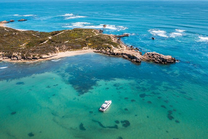 Swim with Wild Dolphins Day Tour - Lunch, hot drinks, and photos on the return