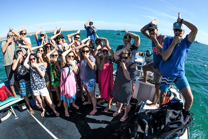 Swimming with the Whale Sharks - Ningaloo Reef (Exmouth) - Is the price of $451.86 good value?