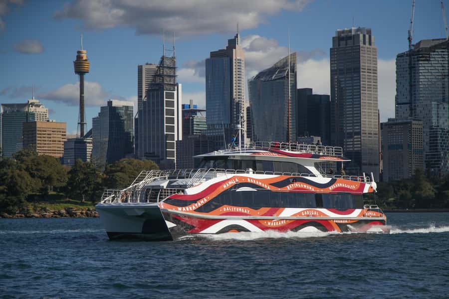 Sydney: 2-hour Express Whale Watching Cruise - What the two hours feel like