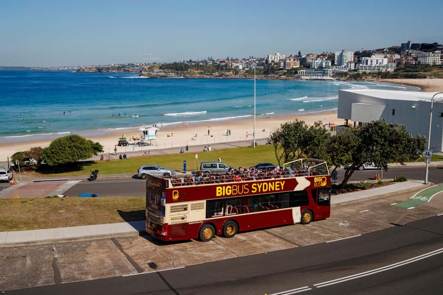 Sydney: Big Bus Hop-On Hop-Off Tour with Optional Cruise - Key points to know before you ride