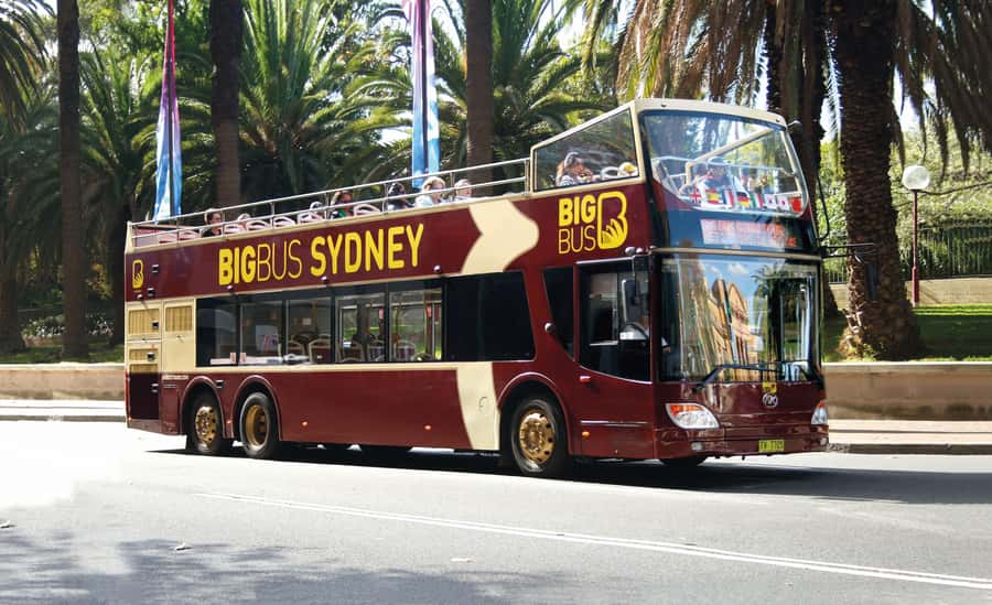 Sydney: Big Bus Hop-On Hop-Off Tour with Optional Cruise - Who should book this Sydney tour?