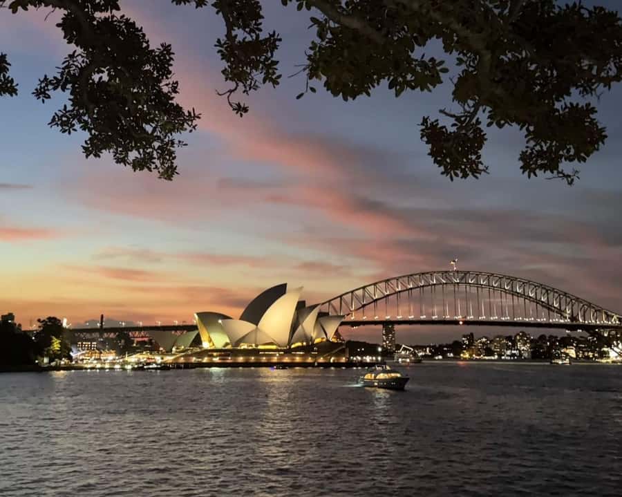 Sydney: Big Bus Panoramic Night Tour by Open-Top Bus - Key points to know before you book