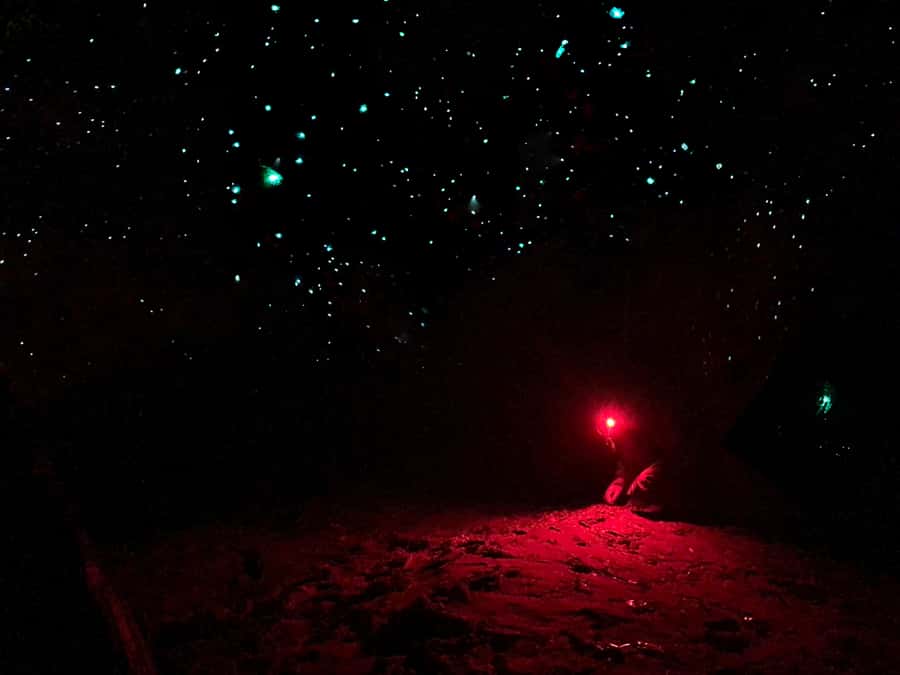 Sydney: Blue Mountains Glow Worms Wild Adventure by Night - The headlamp walk to the waterfall
