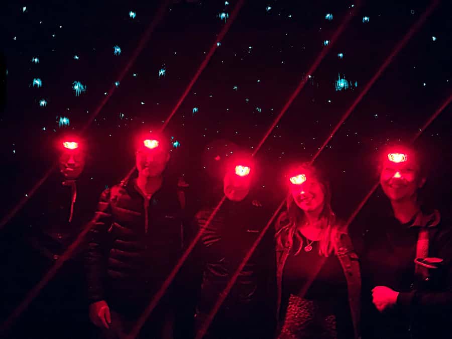 Sydney: Blue Mountains Glow Worms Wild Adventure by Night - How hard is the hike?