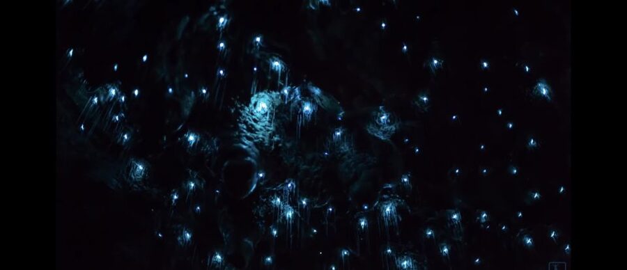 Sydney: Blue Mountains Glow Worms Wild Adventure by Night - What to pack for a comfortable night