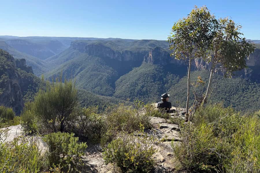 Sydney: Blue Mountains Kangaroos, Wilderness and Sunset Tour - What the $141 price includes