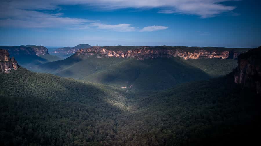 Sydney: Blue Mountains Late Start, Walks Waterfalls & Koalas - A working farm and a close koala encounter