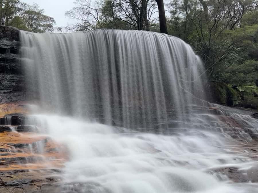 Sydney: Blue Mountains National Park Tour with River Cruise - Sydney Zoo before the crowds