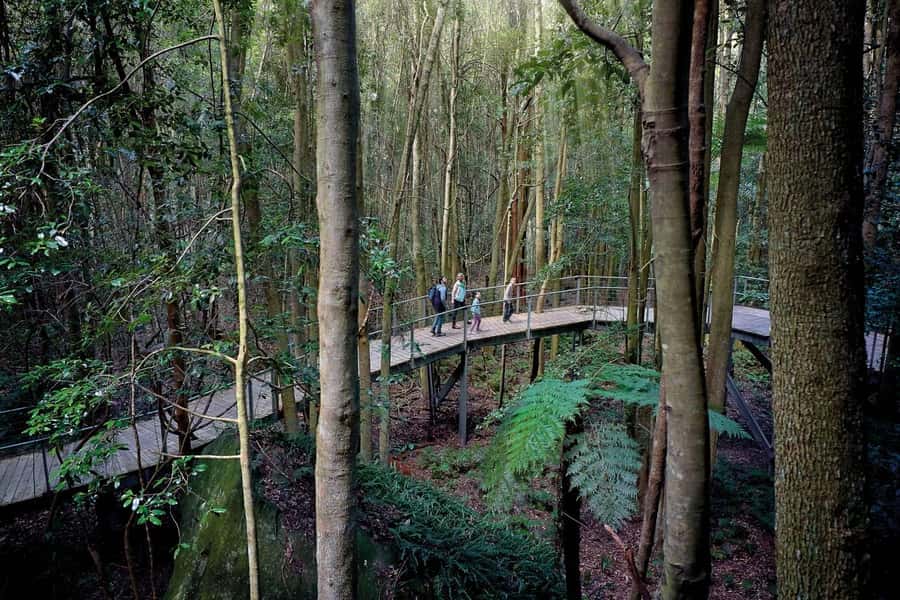 Sydney: Blue Mountains National Park Tour with River Cruise - Wentworth Falls and the 45-minute bushwalk