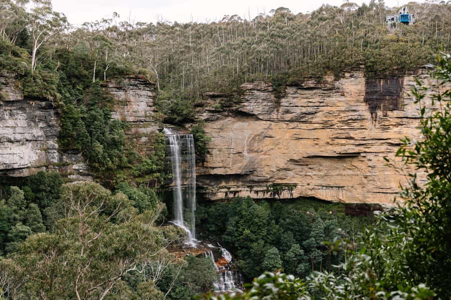 Sydney: Blue Mountains Scenic World, Wildlife Park and Lunch - Rainforest boardwalks below Katoomba