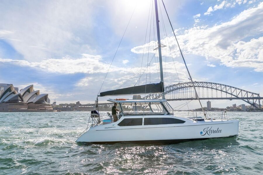 Sydney: Bring Your Own Drinks Vivid Harbour Cruise - Who will enjoy this cruise most