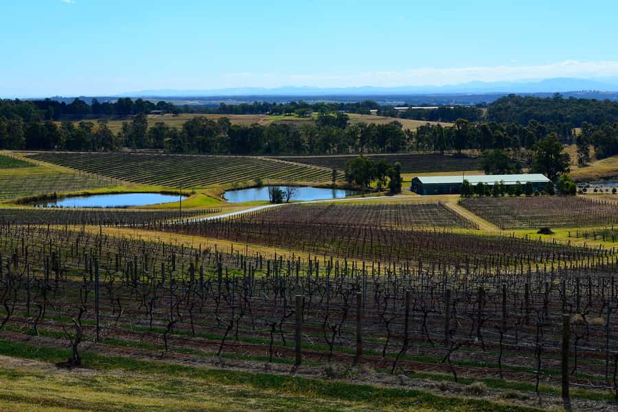 Sydney: Chef-Led Hunter Valley Food & Wine Tour - Why the Fish Market makes a strong beginning