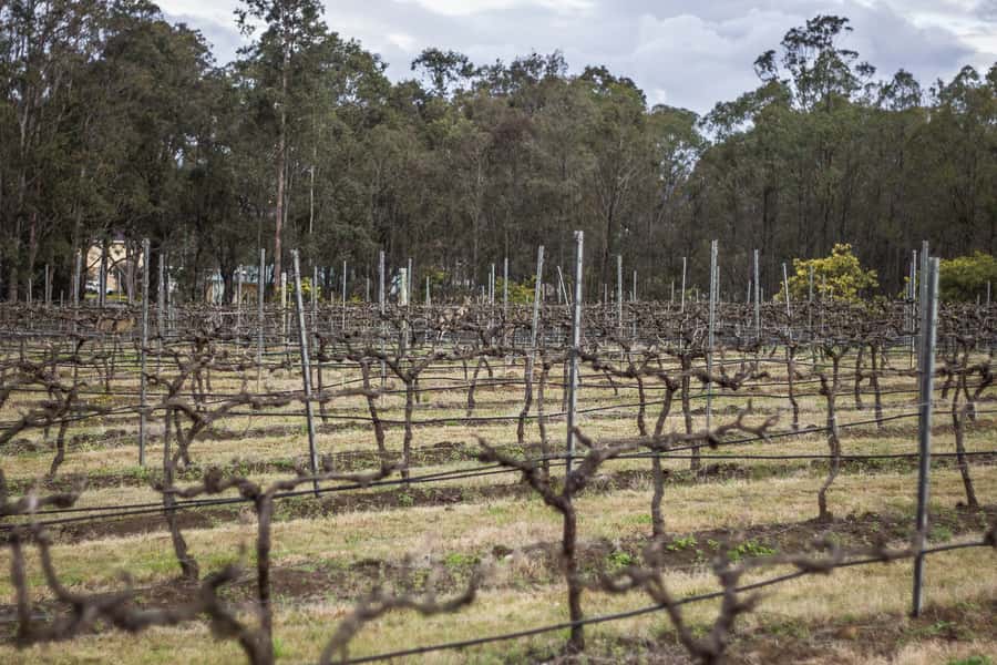 Sydney: Chef-Led Hunter Valley Food & Wine Tour - Chocolate, something sweet, and a flexible schedule