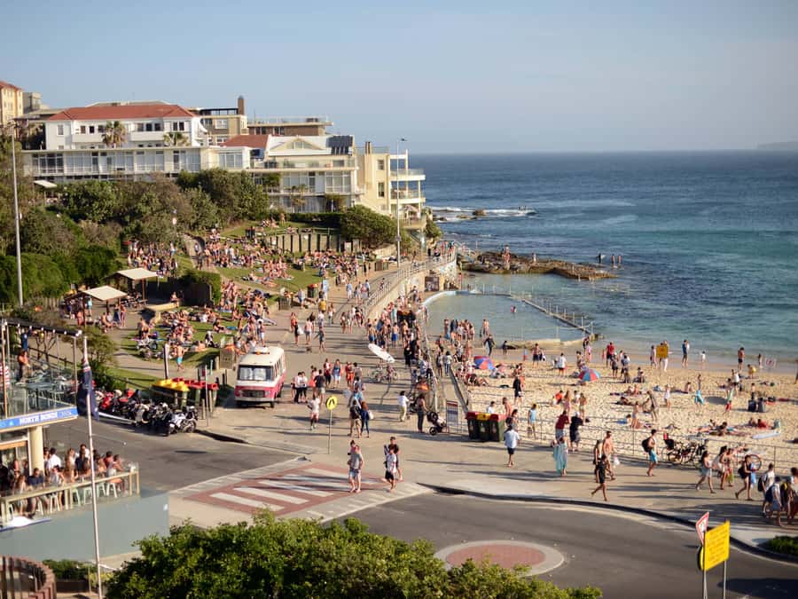 Sydney: City Highlights Guided Bus Tour - The first harbor views at Mrs. Macquarie’s Point