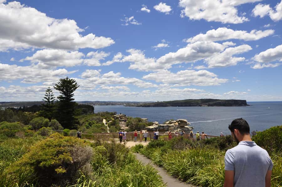 Sydney: City Highlights Guided Bus Tour - From Kings Cross to Rose Bay
