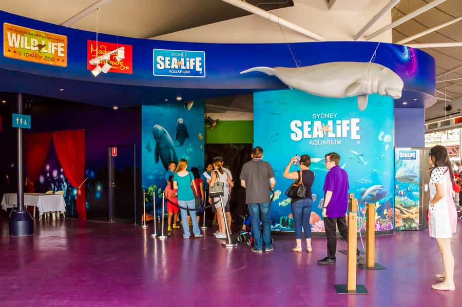 Sydney: Combo Pass for 2, 3, or 4 Top City Attractions - Booking details worth knowing