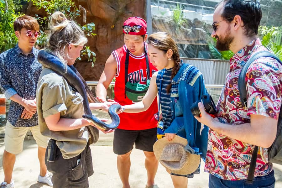 Sydney: Combo Pass for 2, 3, or 4 Top City Attractions - How the Sydney combo pass works