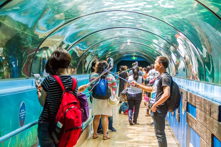 Sydney: Combo Pass for 2, 3, or 4 Top City Attractions - Wild Life Sydney and its Australian animals