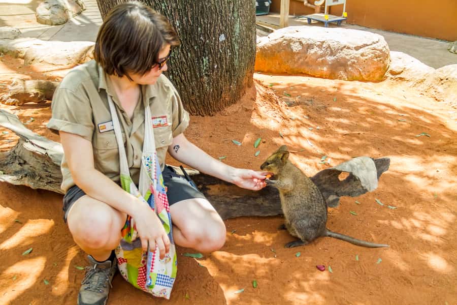 Sydney: Combo Pass for 2, 3, or 4 Top City Attractions - Madame Tussauds for photos and family fun