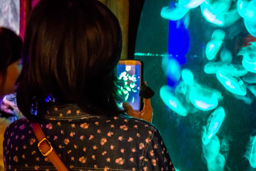 Sydney: Combo Pass for 2, 3, or 4 Top City Attractions - The best way to plan one day