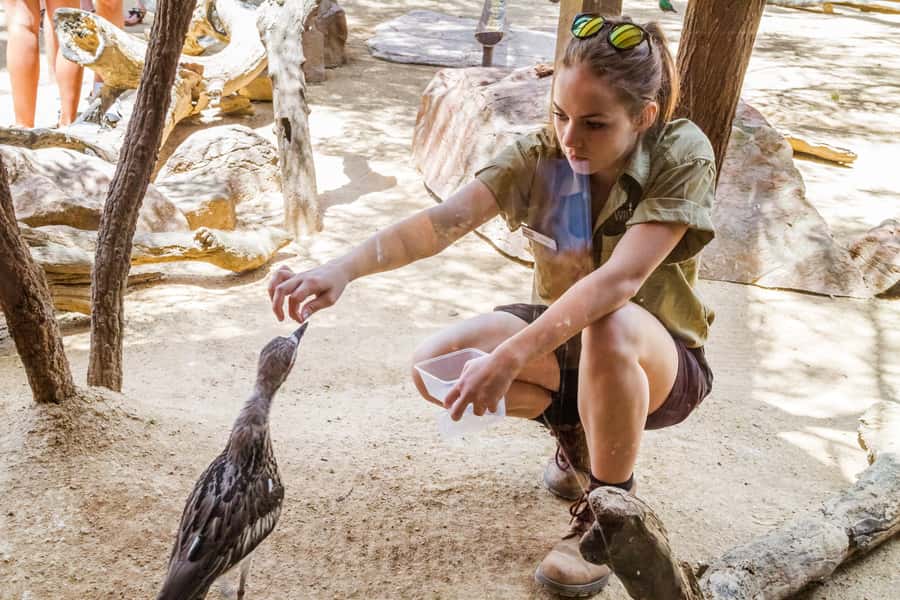 Sydney: Combo Pass for 2, 3, or 4 Top City Attractions - Is the four-attraction price really good value?