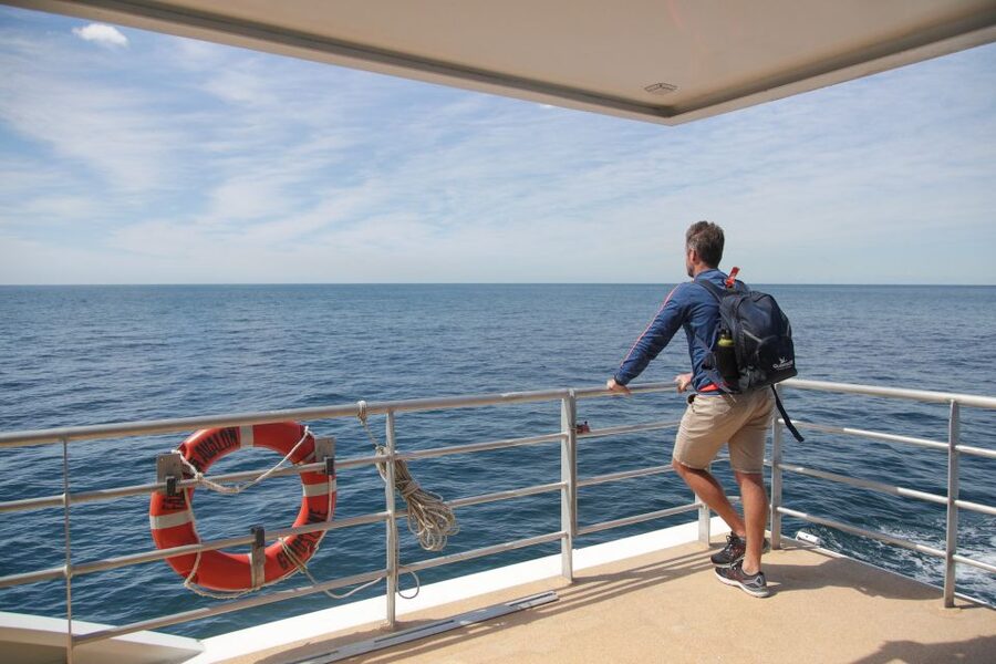 Sydney: Discovery Whale Watching Tour by Catamaran - Who Should Book This Cruise?