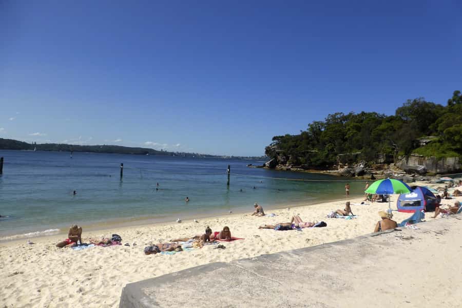 Sydney: Half-Day City Tour - Small-group comfort, timing, and practical details