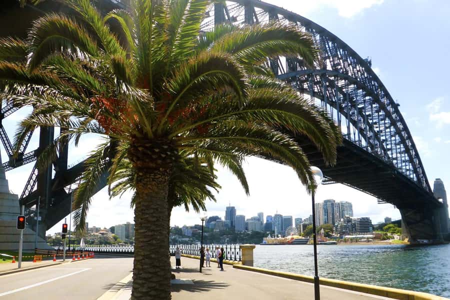 Sydney: Half-Day City Tour - Mrs Macquarie’s Chair and Woolloomooloo