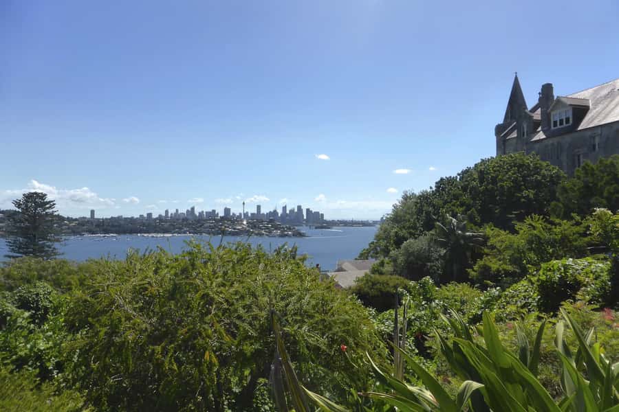 Sydney: Half-Day City Tour - The harbor suburbs from Rushcutters Bay to Vaucluse
