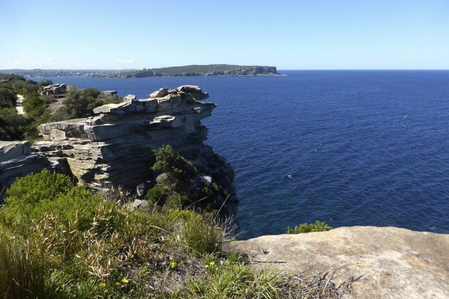 Sydney: Half-Day City Tour - Centennial Park to Chinatown: Sydney beyond the water