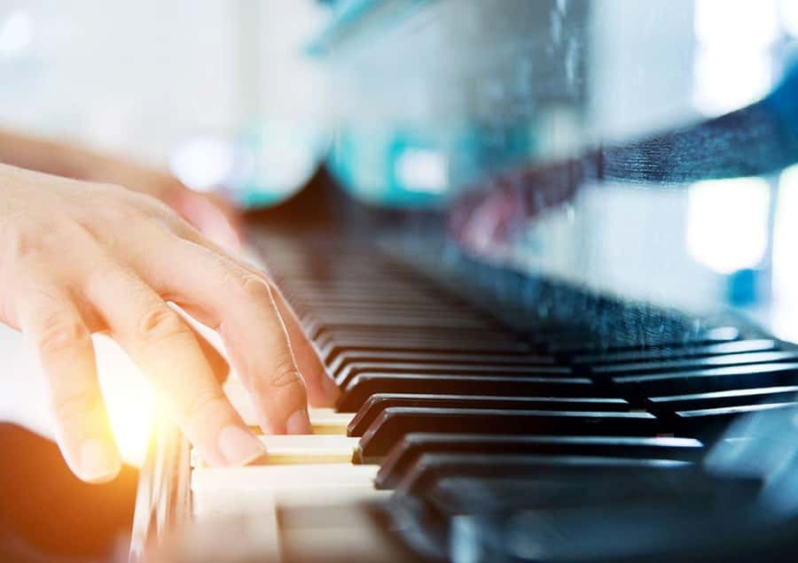 Sydney Harbour: 3-Hour Lunch Cruise with Live Music - Who will enjoy this cruise most