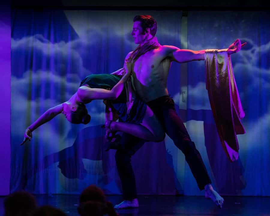 Sydney Harbour: Cabaret Cruise with 3-Course Dinner - Who should book, and who should skip it?