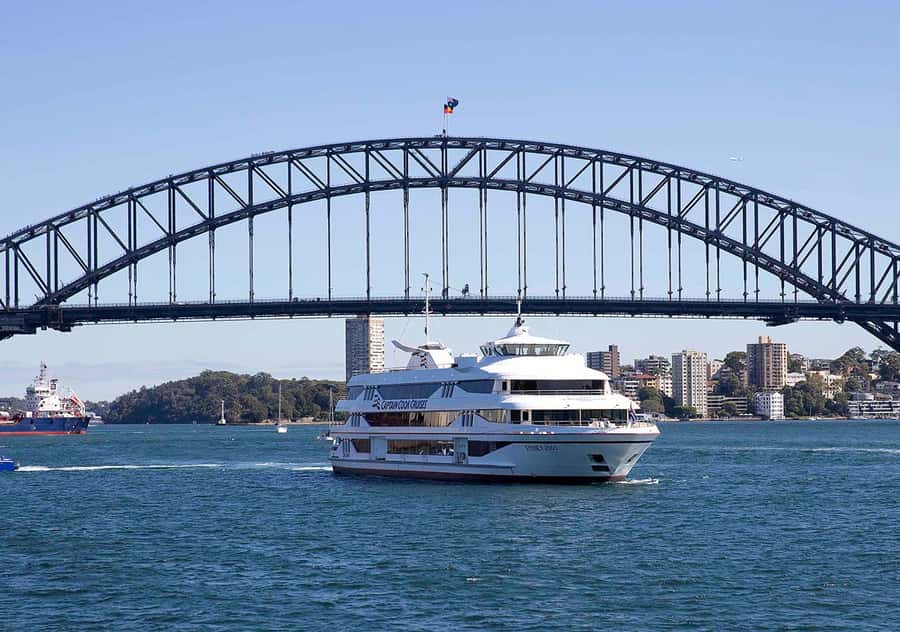 Sydney: Harbour Lunch Cruise with 2 or 3-Course Menu - Who Should Book the Sydney Harbour Lunch Cruise