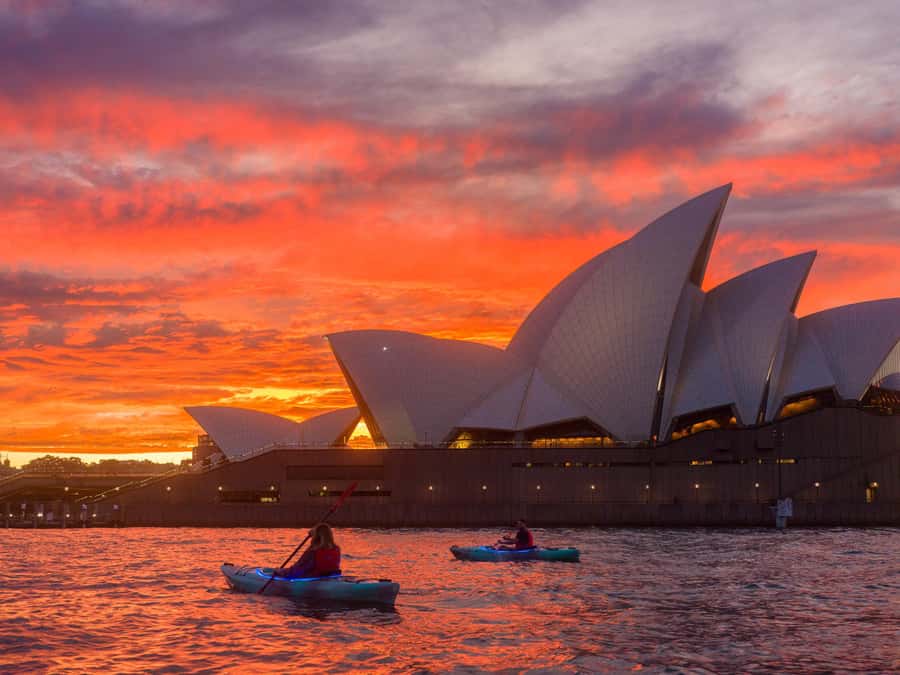 Sydney: Harbour Sunrise Kayak Tour - Harbour Bridge views and scheduled rest stops