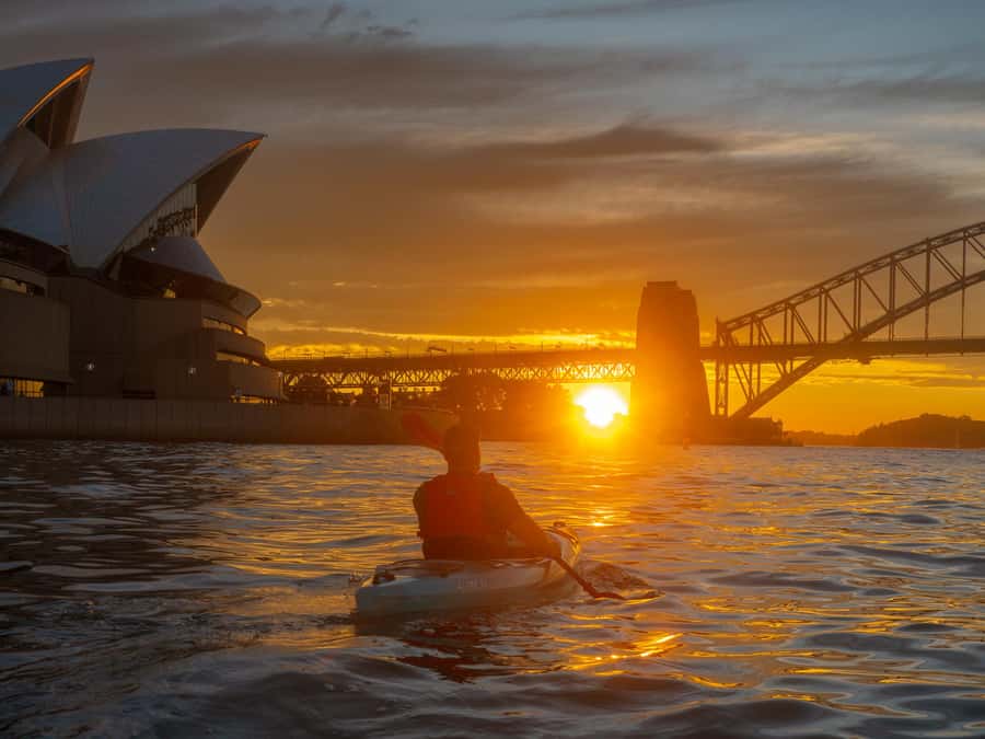 Sydney: Harbour Sunrise Kayak Tour - Is $119 good value?