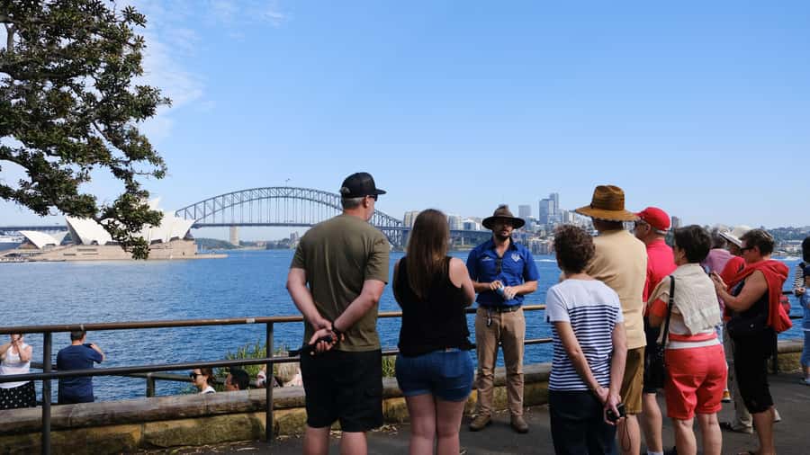 Sydney Harbour to Bondi: Small Group Half–Day Experience - Sydney’s centre, from the QVB to Oxford Street