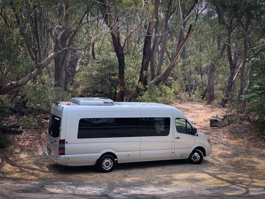 Sydney: Luxury Blue Mountains Adventure with Wentworth Falls - Echo Point and the Three Sisters