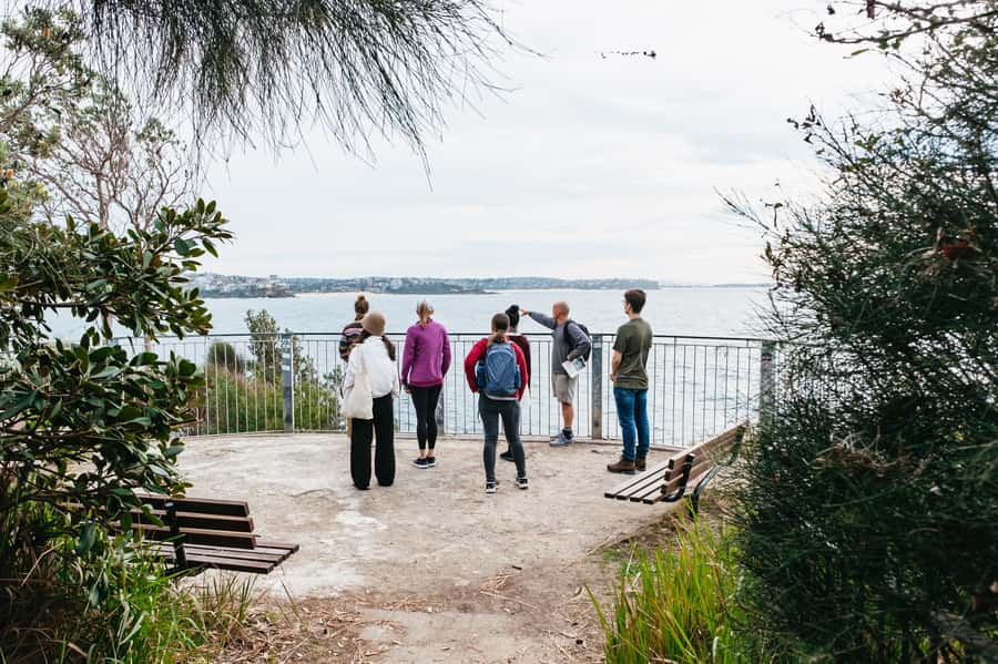 Sydney: Manly and Shelly Beach Snorkeling Tour - Safety briefing and gear that make beginners feel welcome